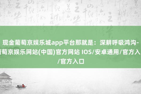 现金葡萄京娱乐城app平台那就是：深耕呼吸鸿沟-葡萄京娱乐网站(中国)官方网站 IOS/安卓通用/官方入口